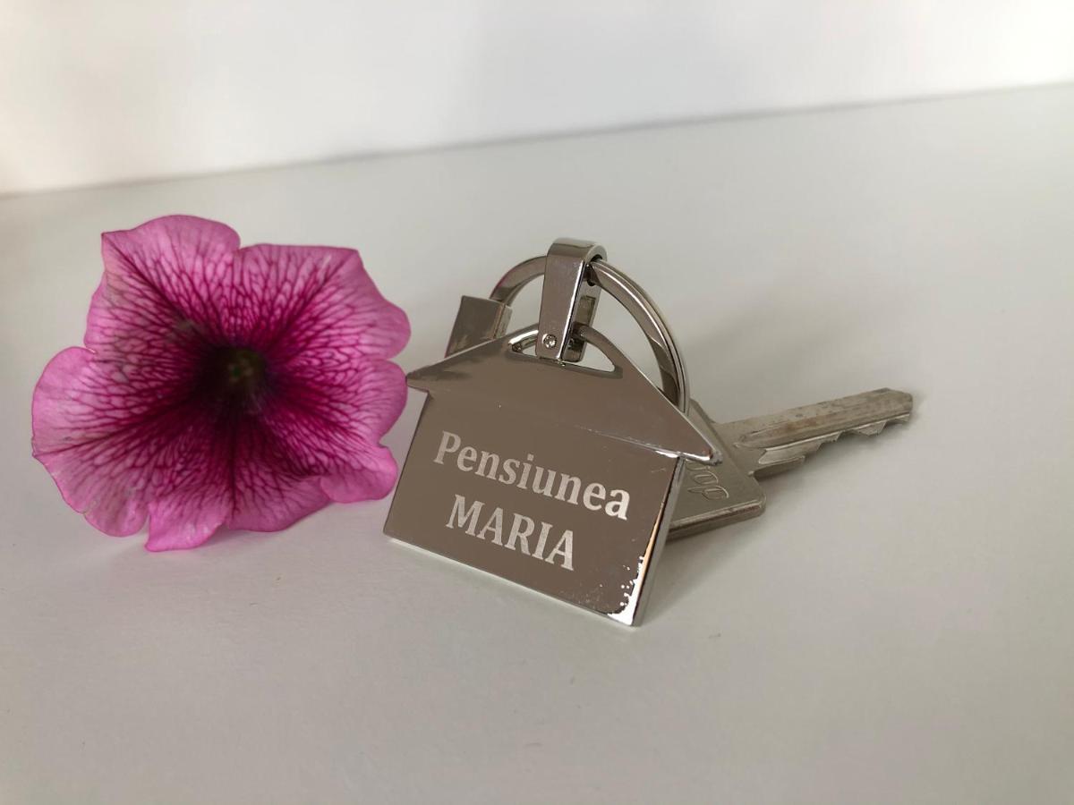 Pensiunea Maria *